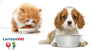 Dog catFood